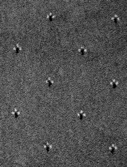 Ковролин Palace 97 (Balta/ITC)