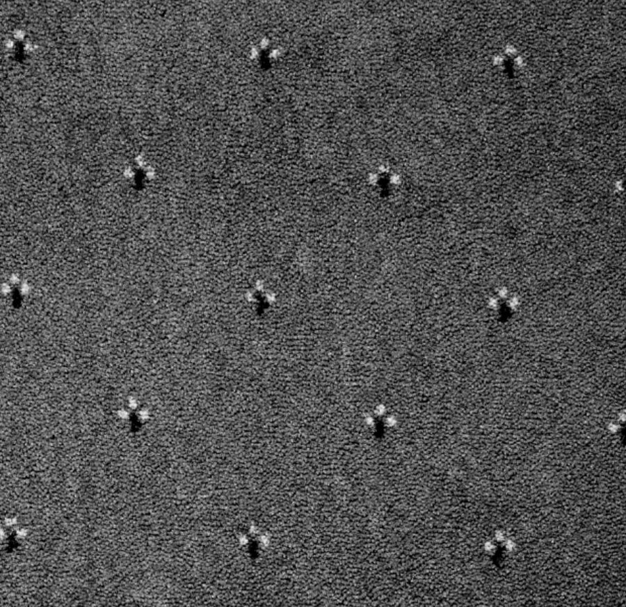 Ковролин Palace 97 (Balta/ITC)