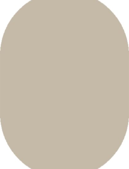 Овальный ковёр Фьюжн 42300_48233, Россия