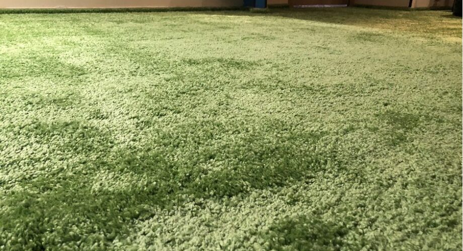 Профессиональная укладка ворсового коврового покрытия шегги высотой 2.5 см: искусство создания уюта и комфорта