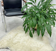 Овечья шкура натуральная 006