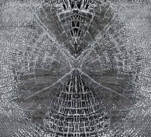 Exclusive 8554 STAN GREY