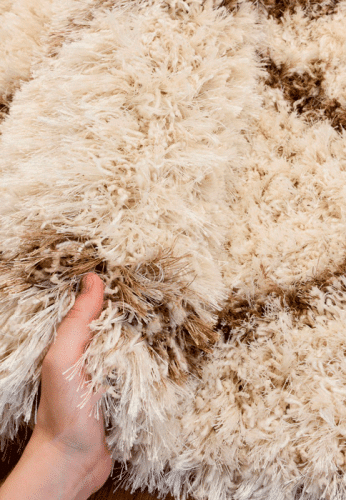 Rhapsody 2513-100 фото 2