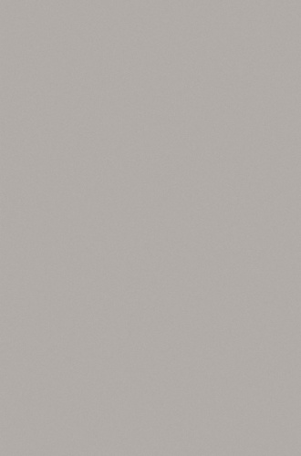 silver p000 - gray прямоугольник