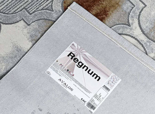 Regnum 37373A TERRA / L.GREY фото 5