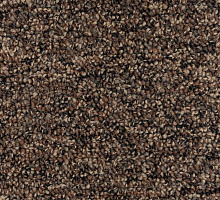 SCROLL 01_254_17021400