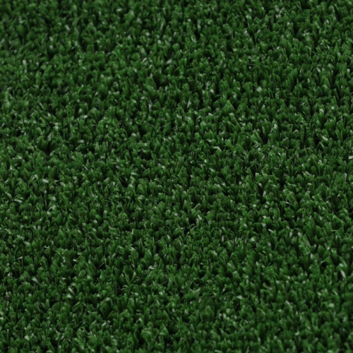 Grass 04_014 _7000000