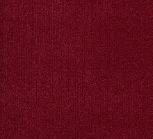 Trend 32