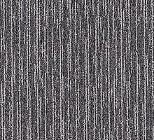 SCROLL 01_016_20210000