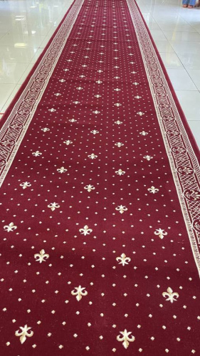 Кремлевская Анатолия 29505-22137_r фото 3