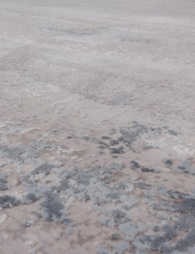 JADORE P277A - GRI / GRI фото 4