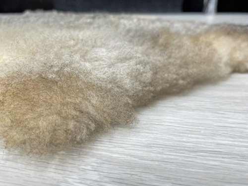 Овечья шкура натуральная 002 фото 10