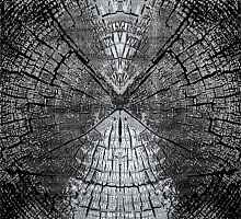 Exclusive 8554 STAN BLACK