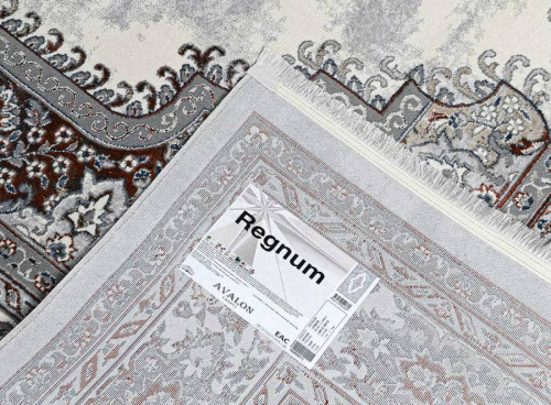 Regnum 37662B BLUE / L.GREY фото 5