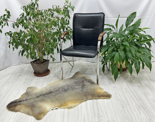 Овечья шкура натуральная 002 фото 3
