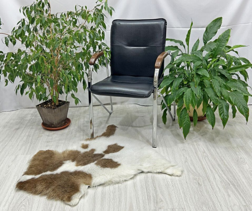 Овечья шкура натуральная 003 фото 3