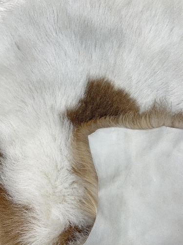 Овечья шкура натуральная 003 фото 9
