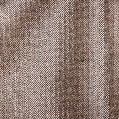 SCROLL 01_015_14270500 фото 2