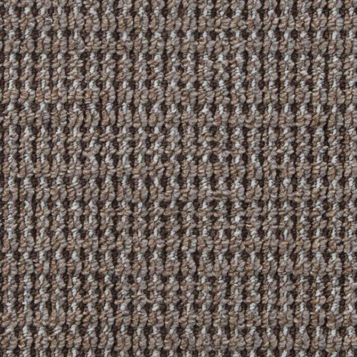 SCROLL 01_021_19101116