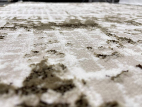 Aura 40359C_KAHVE / VIZON овал фото 2