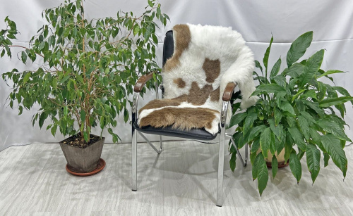 Овечья шкура натуральная 003 фото 2
