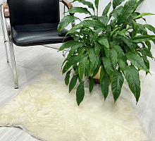 Овечья шкура натуральная 007