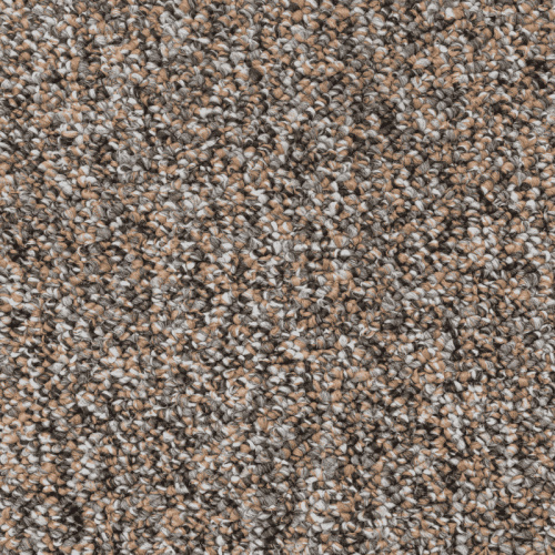 SCROLL 01_254_17380000