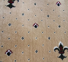 Виктория 01-0001