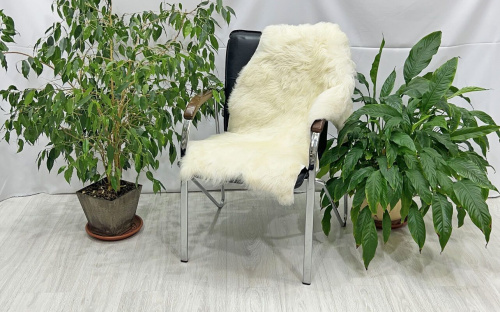 Овечья шкура натуральная 007 фото 2