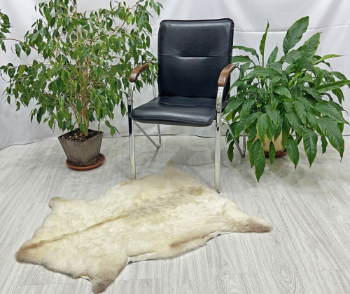 Овечья шкура натуральная 005 фото 3