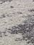 Ковровая дорожка naturel f229 - gray | Россия, 100% PP Frise, серый, фото 3