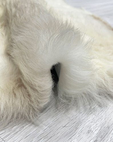 Овечья шкура натуральная 005 фото 4