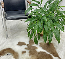 Овечья шкура натуральная 003