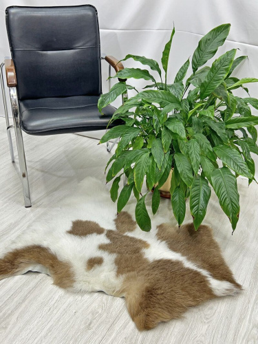 Овечья шкура натуральная 003