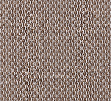 SCROLL 01_015_14270500