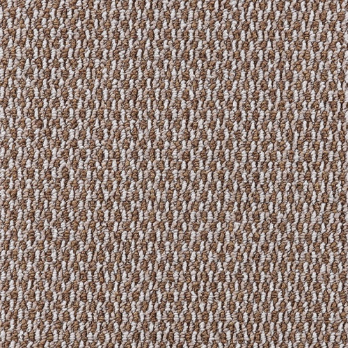 SCROLL 01_015_14270500