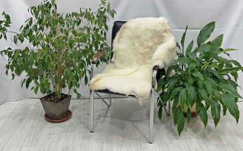 Овечья шкура натуральная 005 фото 2