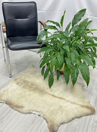 Овечья шкура натуральная 005