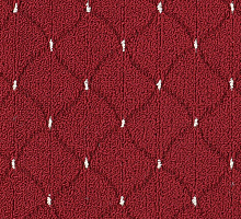 SCROLL 01_009_ 8110000