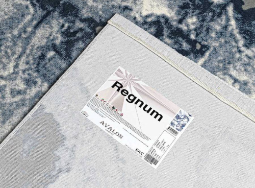 Regnum 37601A BLUE / L.GREY фото 5