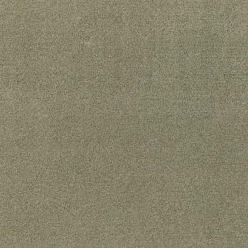 Ковролин Velvet 07_025 56000000 Россия 