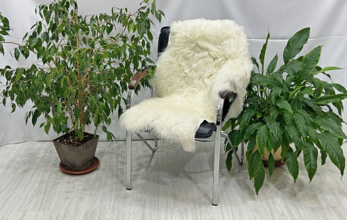 Овечья шкура натуральная 006 фото 2