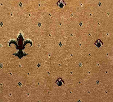 Виктория 01-1001